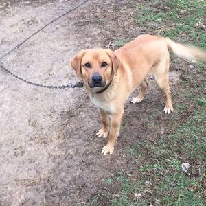 Meet your Posher, Lee